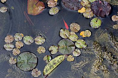 传《寂静岭》新作可能会在东京电玩展上公布